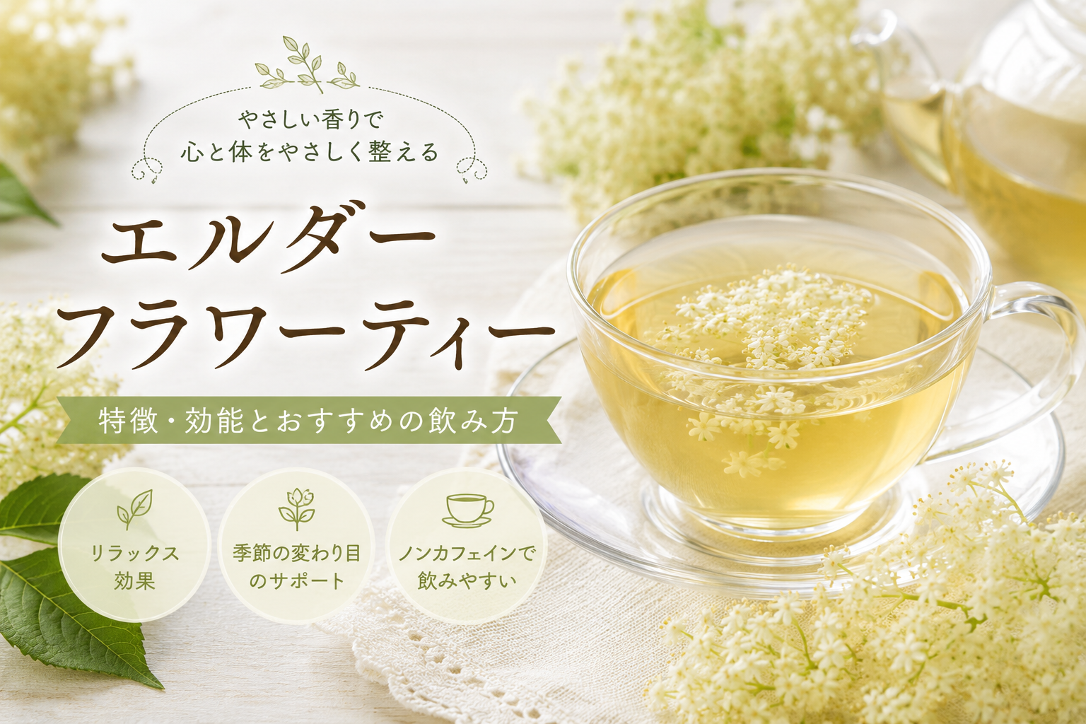 【季節の変わり目】エルダーフラワーティーの特徴と効能は？おすすめ商品も3点ご紹介！